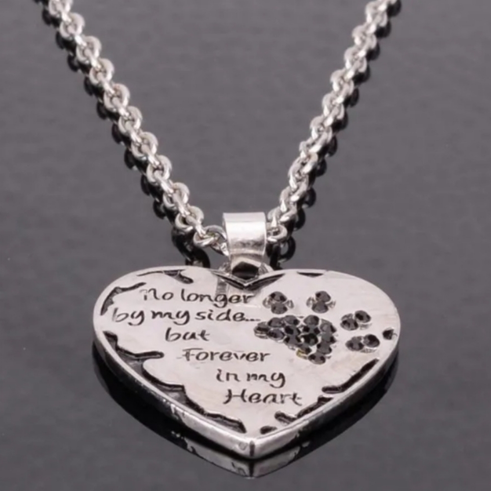 ⚠️ LEAVING FEB. 28⚠️ Pet "No Longer By My Side But Forev in My ♥️" - Picture 4 of 4